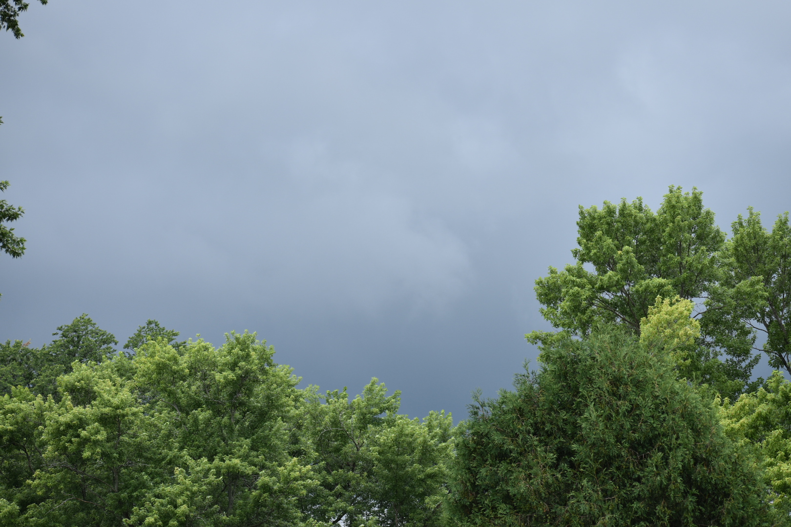 a picture of scenery